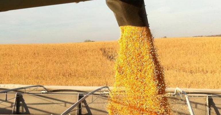 USDA понижава соевата реколта в Бразилия